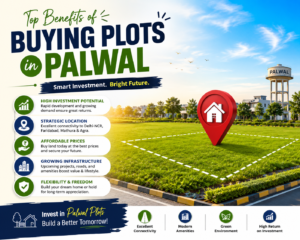 Top Benefits of Buying Pots in Palwal
